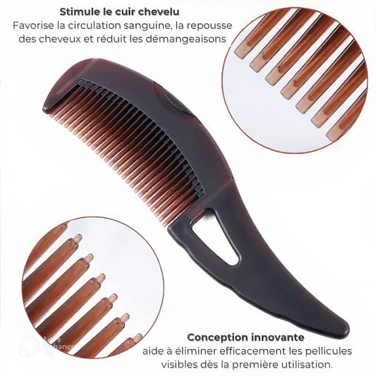 Peigne Antipelliculaire